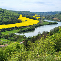 Du côté de Ars-sur-Moselle